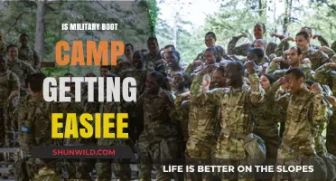 Is Military Boot Camp Softening? Examining Modern Training Standards and Trends