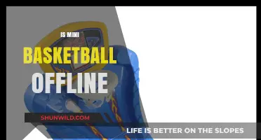 Mini Basketball: An Offline Game for All