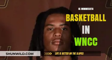 Minnesota Basketball: Part of the WNCC?