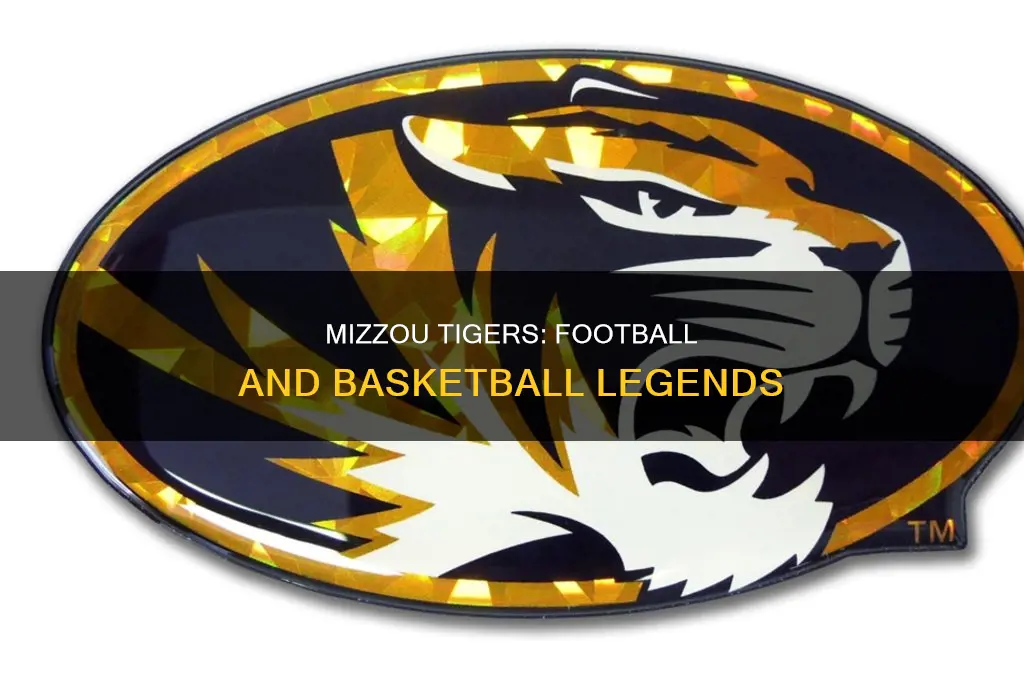 is mizzou tiger for both football and basketball