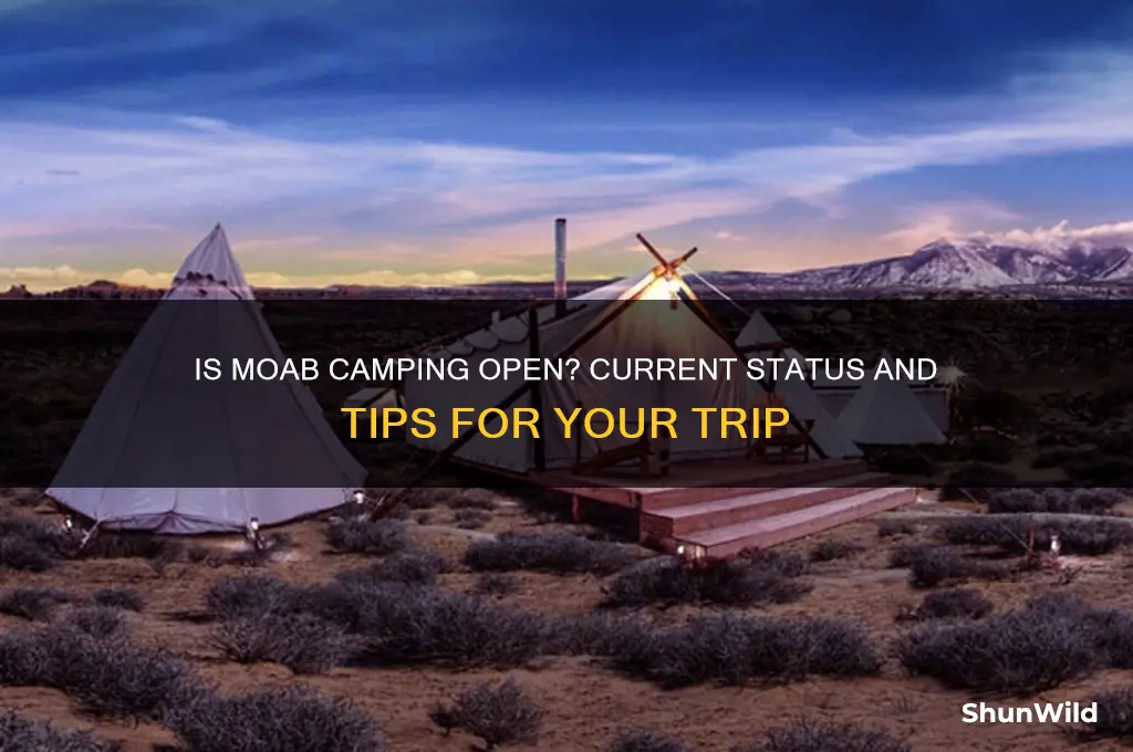 is moab camping open