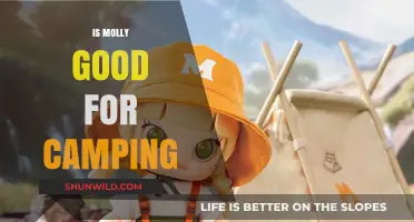 Is Molly Safe for Camping? Risks, Benefits, and Alternatives Explained