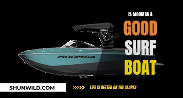 Moomba Boats: A Great Choice for Surfing Enthusiasts?