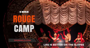 Is Moulin Rouge Camp? Decoding Its Extravagant, Bold, and Playful Legacy