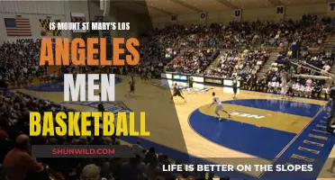 Mount St. Mary's Los Angeles: Men's Basketball Review