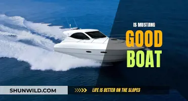 Mustang Boats: Are They Worth the Hype?