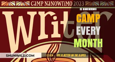Monthly Writing Retreats: Is NaNoWriMo Camp Available Year-Round?