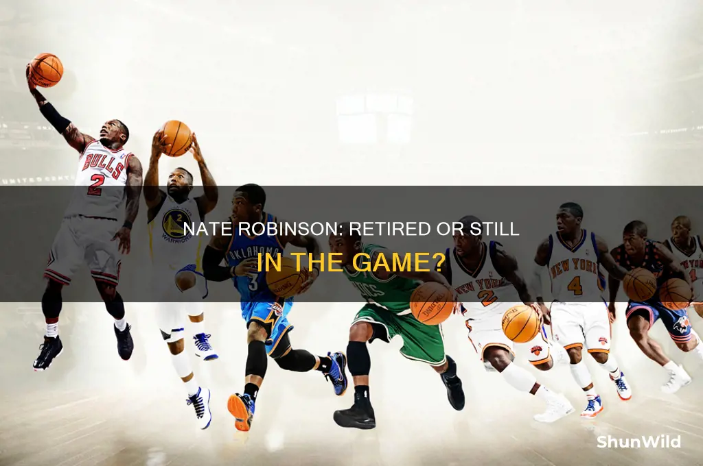 is nate robinson retired from basketball