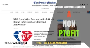 The NBA: Non-Profit or Money-Making Machine?