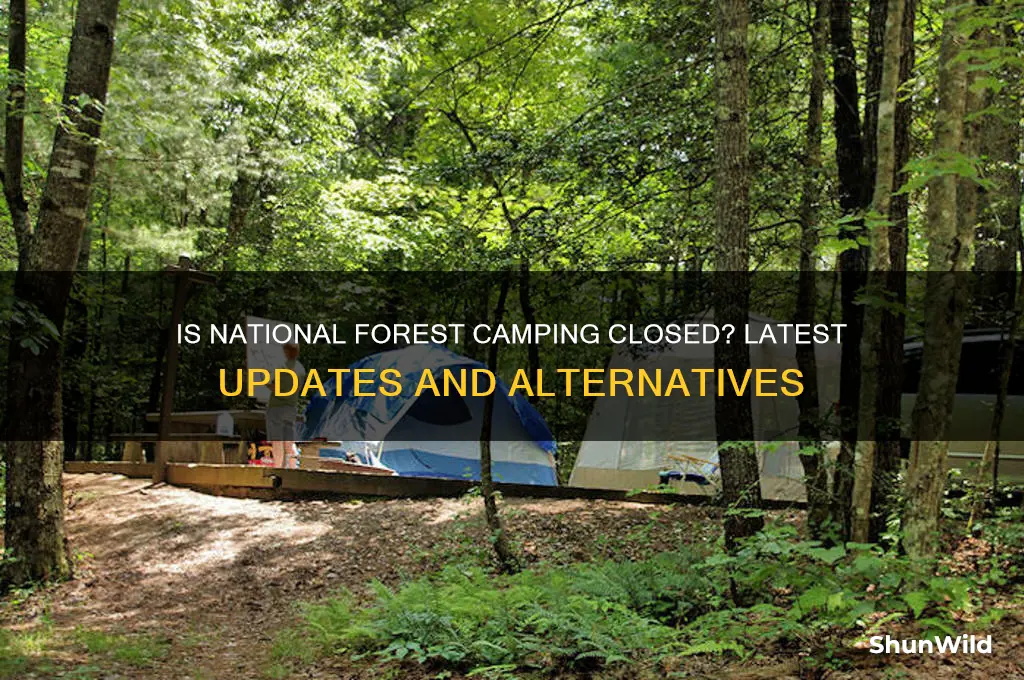 is national forest camping closed