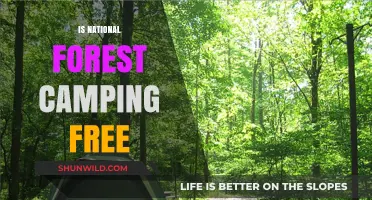 Is National Forest Camping Free? Exploring Costs and Regulations