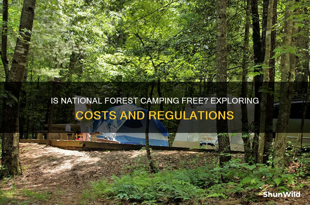 is national forest camping free