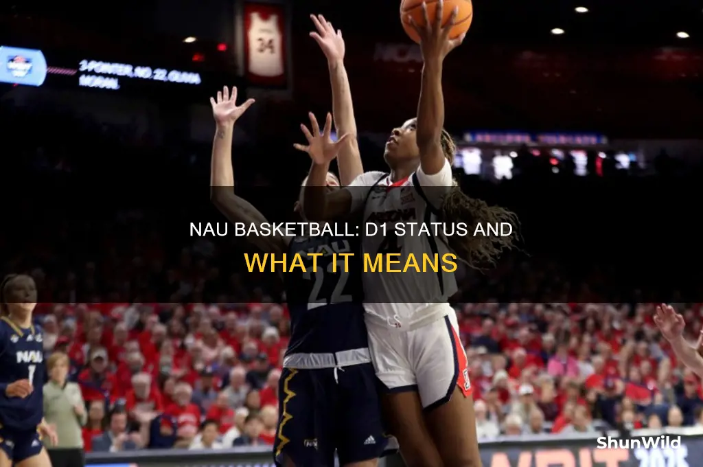 is nau basketball d1