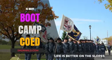 Is Navy Boot Camp Coed? Exploring Gender Integration in Military Training