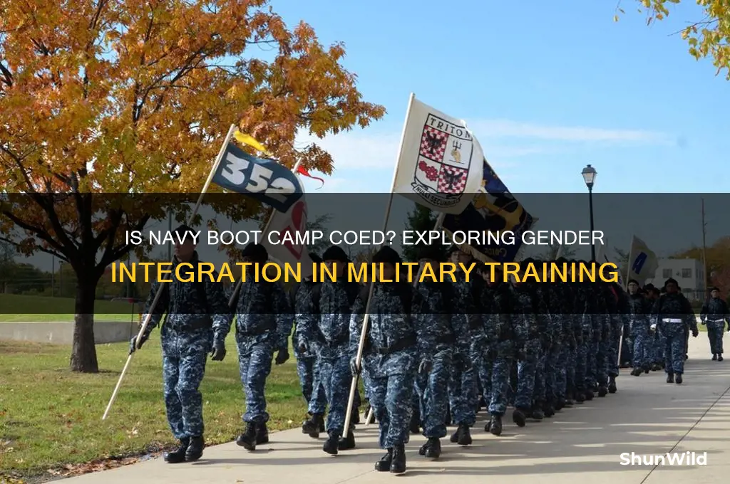is navy boot camp coed
