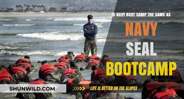 Navy Boot Camp vs. SEAL Training: Key Differences Explained