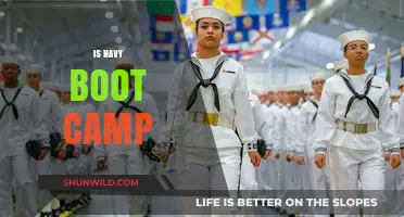 Is Navy Boot Camp Right for You? Challenges, Rewards, and Reality