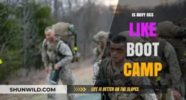 Is Navy OCS Like Boot Camp? Key Differences Explained