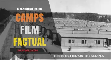 Are Nazi Concentration Camp Films Historically Accurate? A Critical Analysis