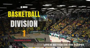 NDSU Basketball: Division 1 Status and Beyond