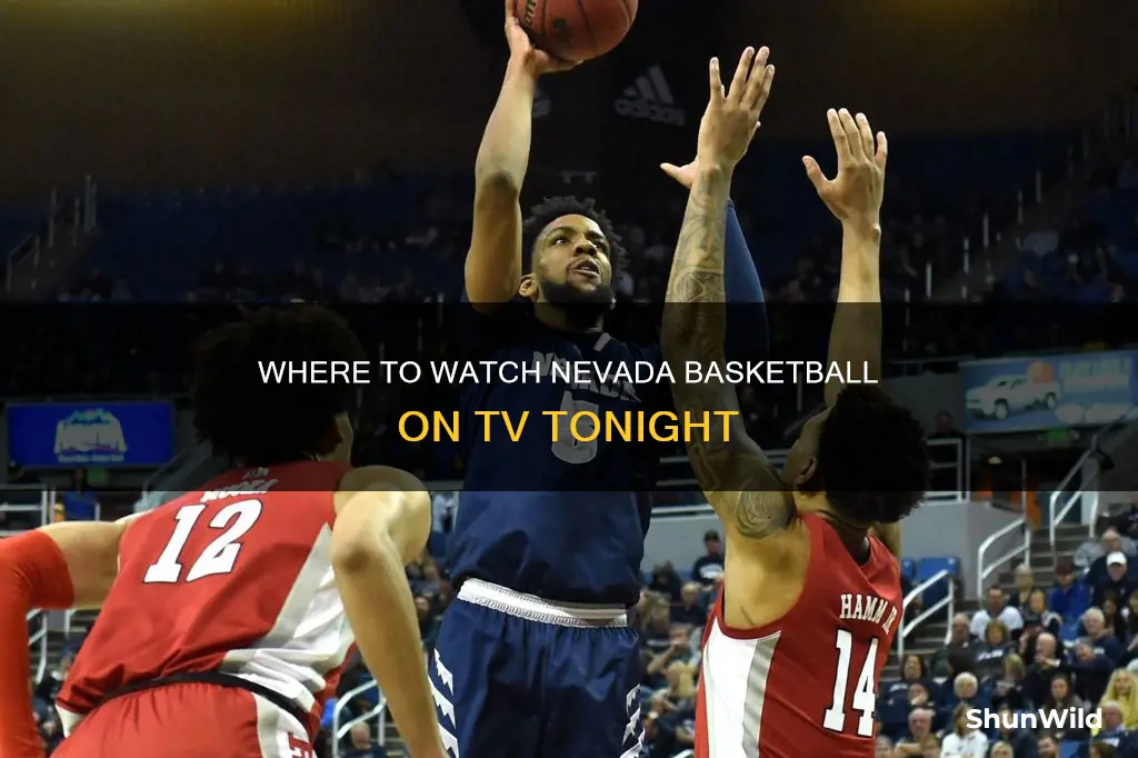 is nevada basketball on tv tonight