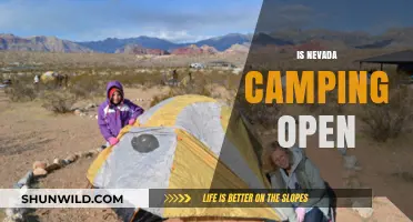 Is Nevada Camping Open? Current Status and Updates for Campers