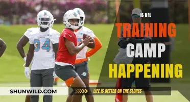 Is NFL Training Camp Happening This Year? Latest Updates