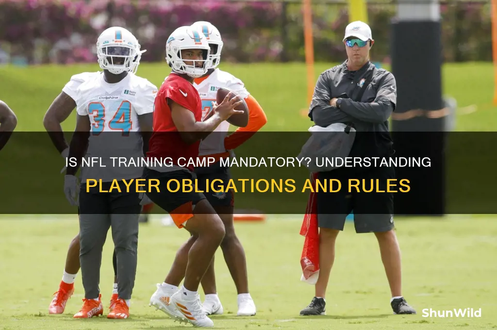 is nfl training camp mandatory
