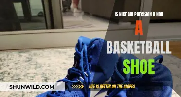 Best Basketball Shoes: Nike Air Precision II NBK Review