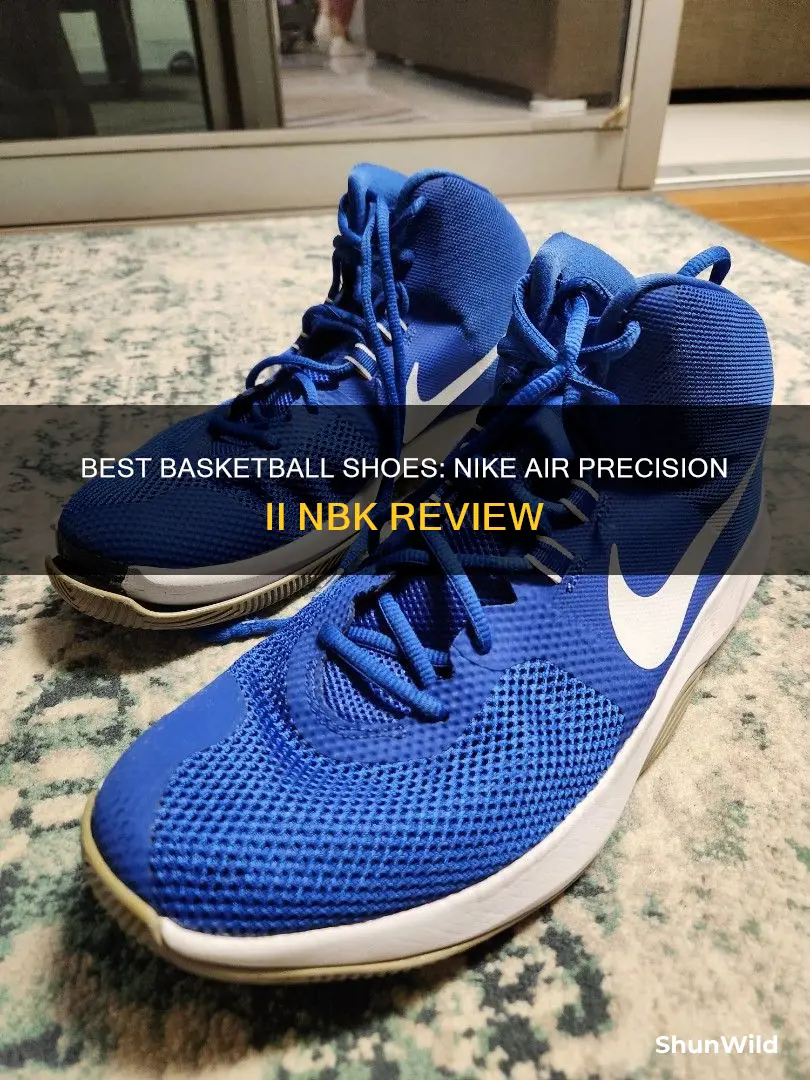 is nike air precision ii nbk a basketball shoe