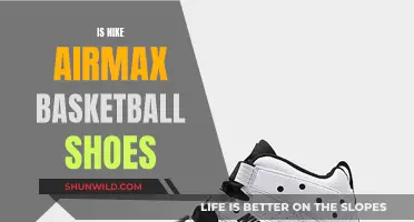 Best Nike Air Max Basketball Shoes for the Court