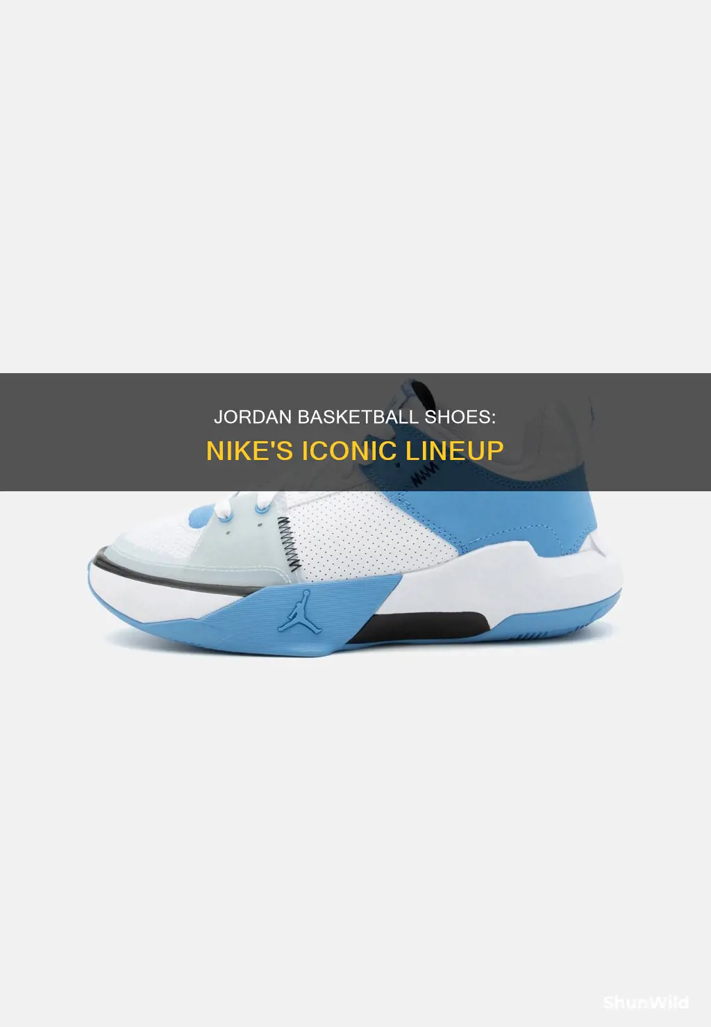 is nike jordan basketball shoes