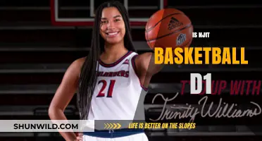The NJIT Highlanders: A D1 Basketball Team?