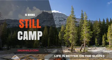 Is Noons Still Camp? Exploring the Evolution of a Classic Trend