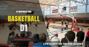 Northeastern Basketball: A D1 Powerhouse?