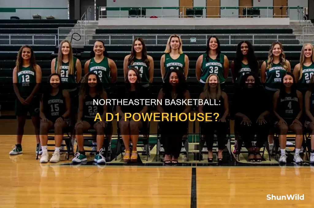 is northeastern basketball d1