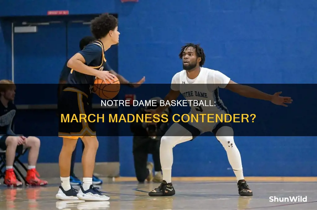 is notre dame basketball in march madness