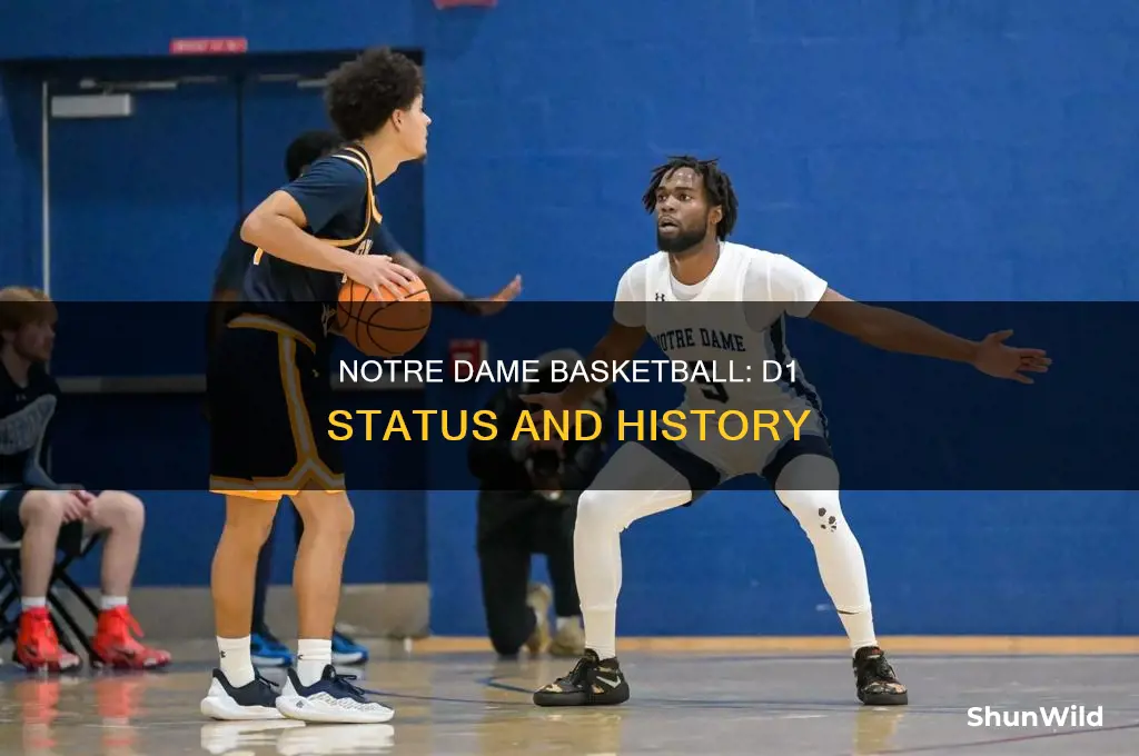 is notre dame d1 basketball