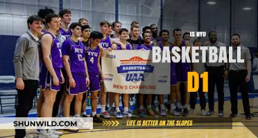NYU Basketball: D1 Status and Its Impact