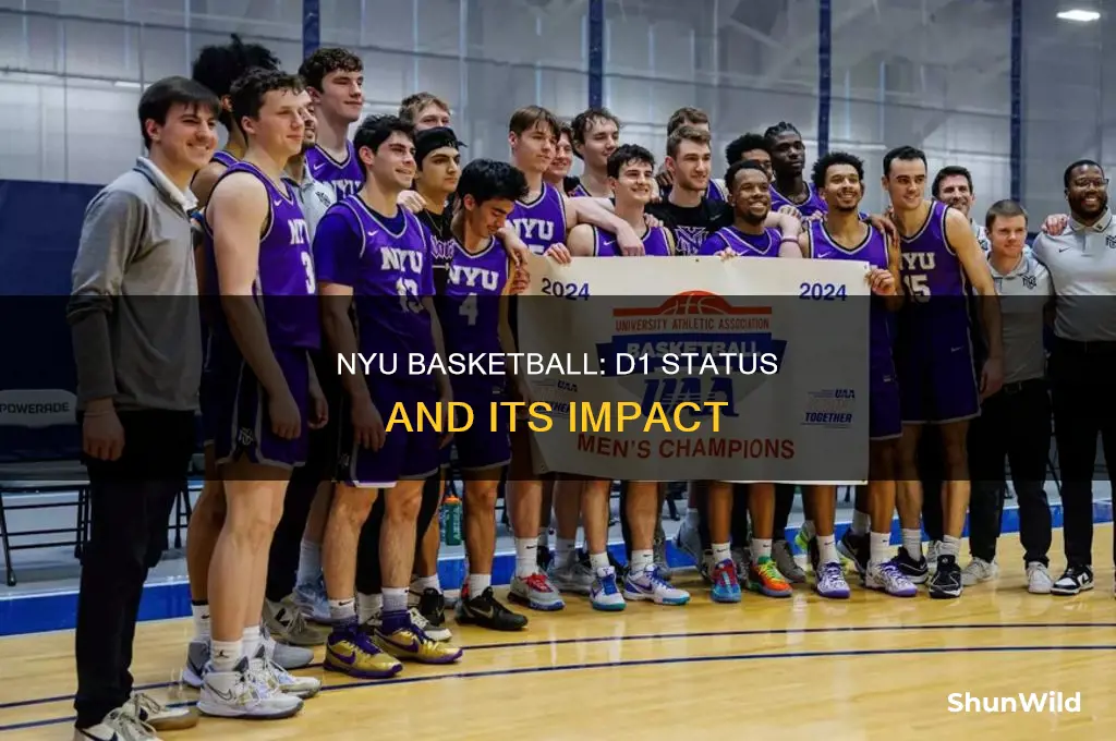 is nyu basketball d1