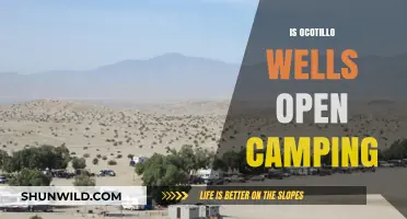 Ocotillo Wells Open Camping: Rules, Tips, and What to Expect