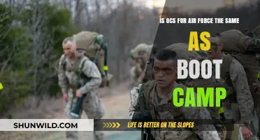 OCS vs. Boot Camp: Understanding Air Force Training Differences
