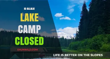 Is Ollalie Lake Camp Closed? Current Status and Updates