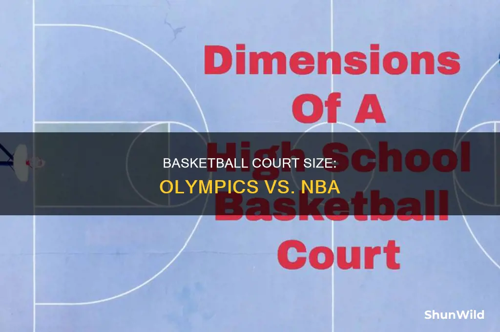 is olympic basketball smaller