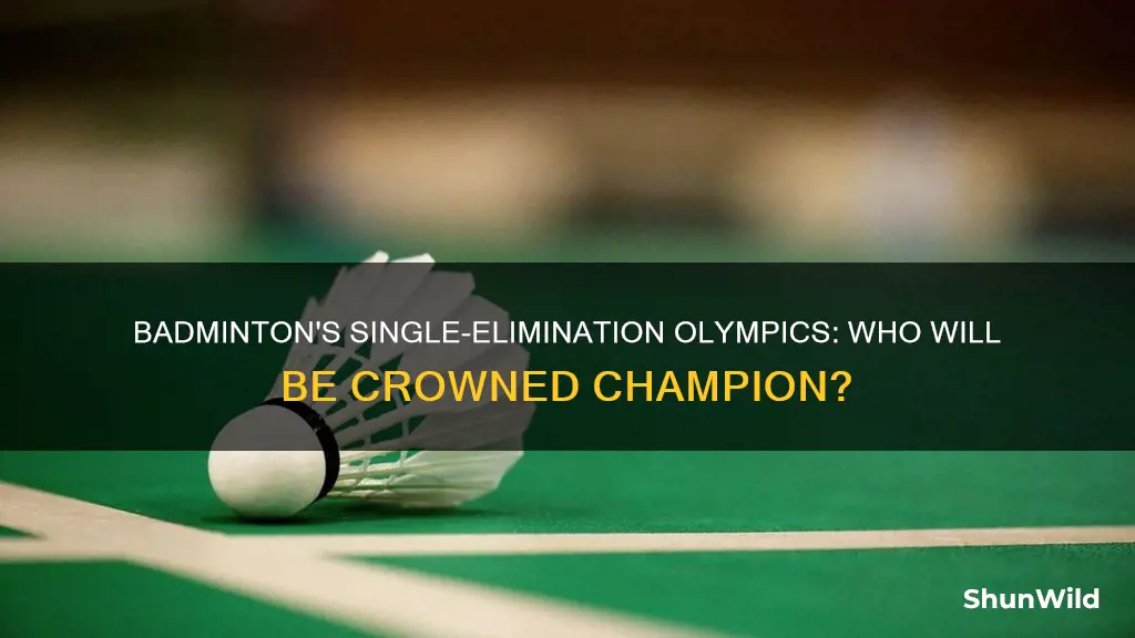 is olympics badminton single elimination