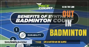 The Line Out: Understanding Badminton's Boundaries