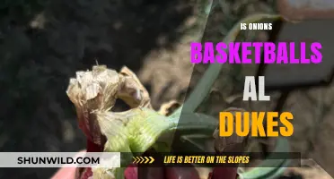 Onions, Basketballs, and Dukes: What's the Connection?