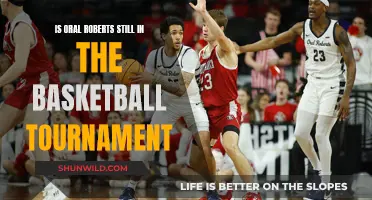 Oral Roberts' Basketball Tournament Run: What's Next?