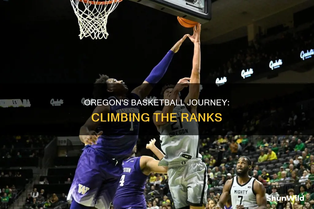 is oregon basketball ranked