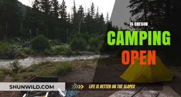 Is Oregon Camping Open? Current Status and Updates for Campers